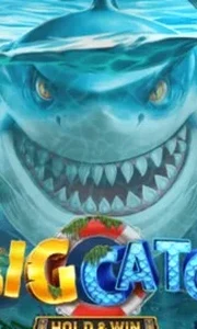 A Big Catch - Hold & Win